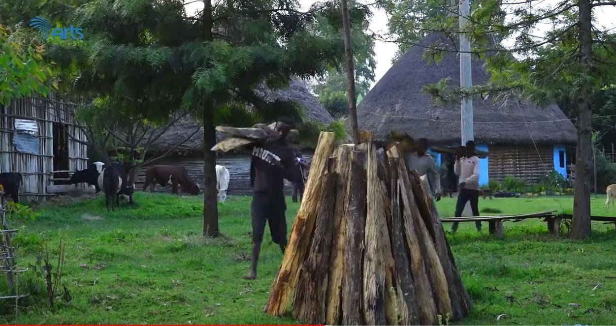በ"ያሆዴ" በዓል የሀዲያ ብሔር የቤተሰብ አባላት የሚኖራቸዉ የሥራ ድርሻ በከፍል